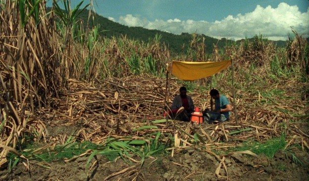 TEA proyecta 'La isla desnuda' y 'Corta' dentro del ciclo de cine vinculado a la exposición 'Estar aquí es todo'