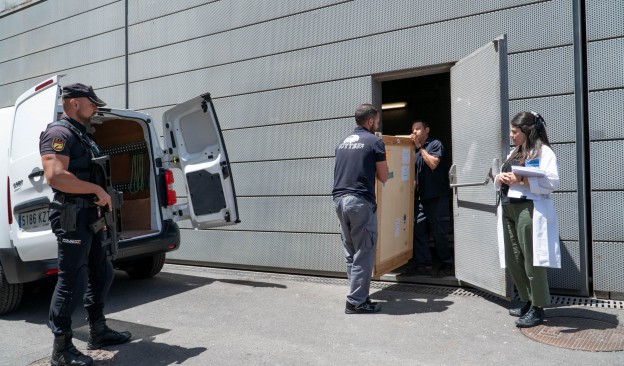 TEA da la bienvenida a ‘El Drago de Canarias’, una de las obras emblemáticas de Óscar Domínguez