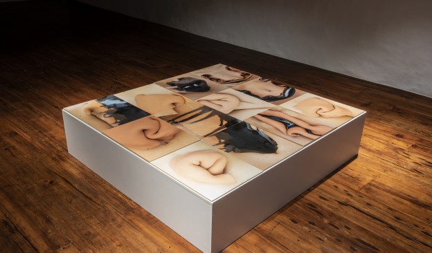 Centro TEA exhibe la obra de once artistas que reflexionan sobre nuevas narrativas en la imagen