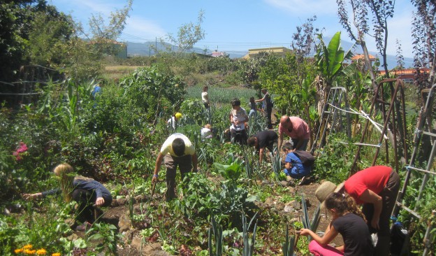 Fotonoviembre celebra la próxima semana en TEA Tenerife un taller de 'Bombas de semillas'